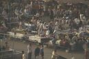 Food Stalls, Place Jemaa el-Fna, Marrakech